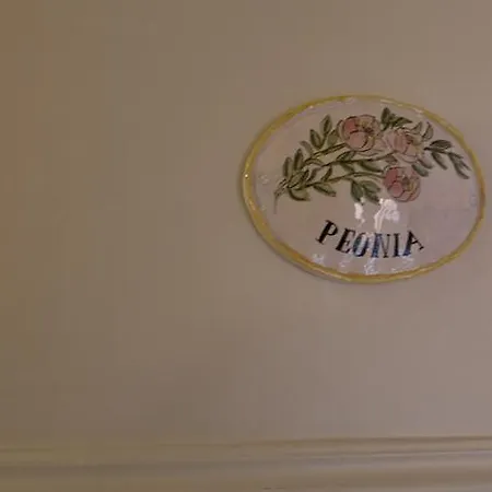 阿拉科特德洋杰里酒店